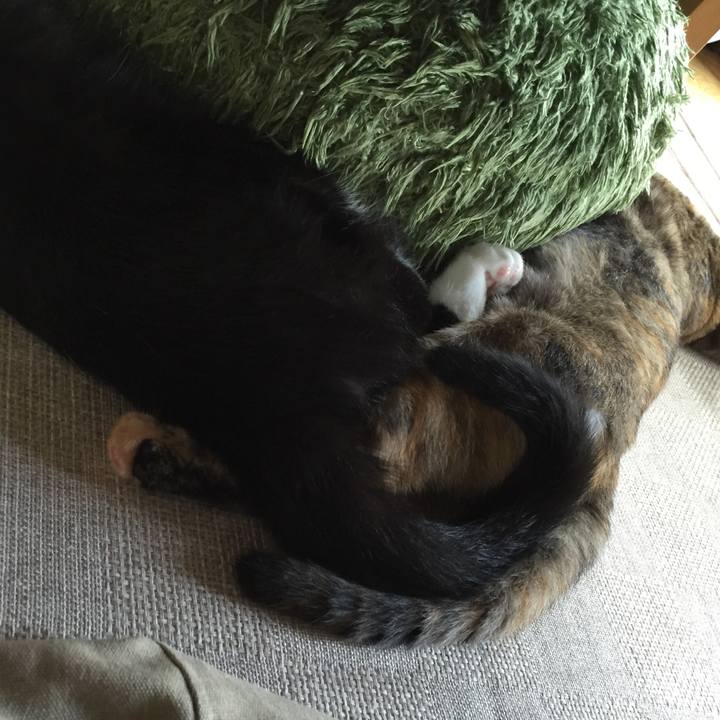 923d333a 03af 4bce 922f 18023356a8ac