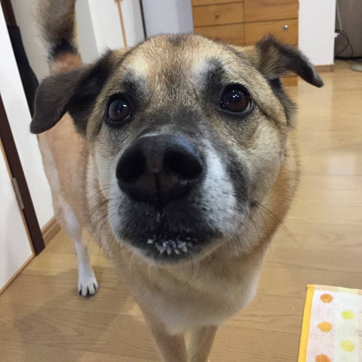 923d731f a214 49c7 9f08 0e856f33c814