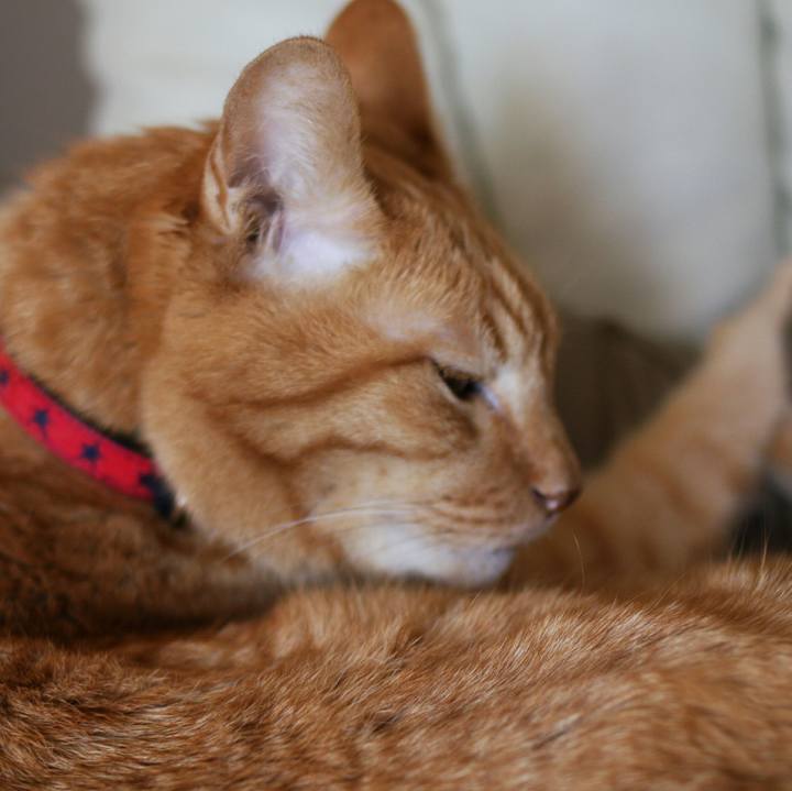 923d9325 591c 45bd b42d 2c4331b9277c