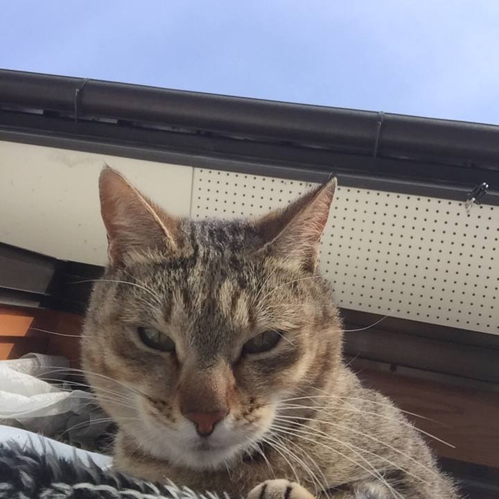 923dc639 44be 4dc2 8a0b 1aff3d87abc3