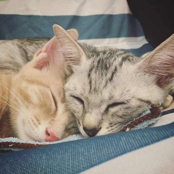 923def7d d122 49c5 9a89 fc52433ccec9