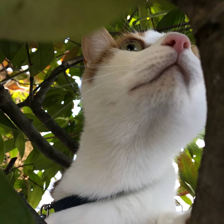 923e4ef3 c30f 4ee1 b483 1a9103b7567a