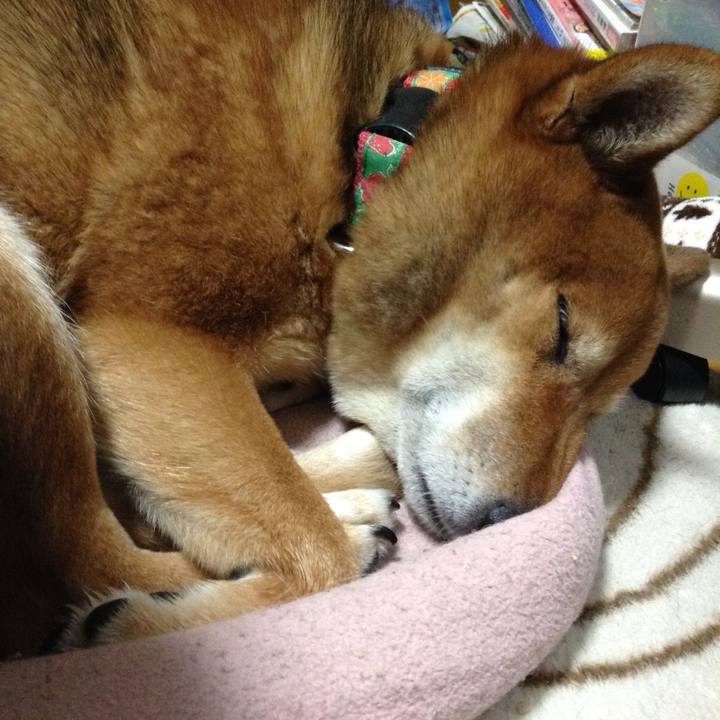 923f29a4 03a0 4483 9e7a 8010670a6dc6