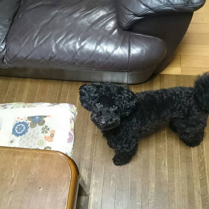 923f3fd4 792c 4359 901d 0ed1a294cd5e