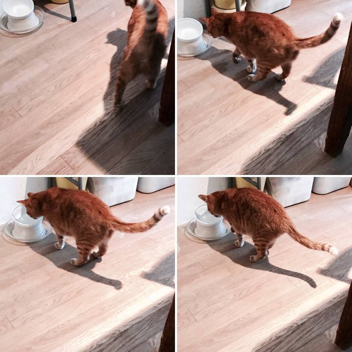 92407107 672f 4de4 aea9 c0c5bf09e009