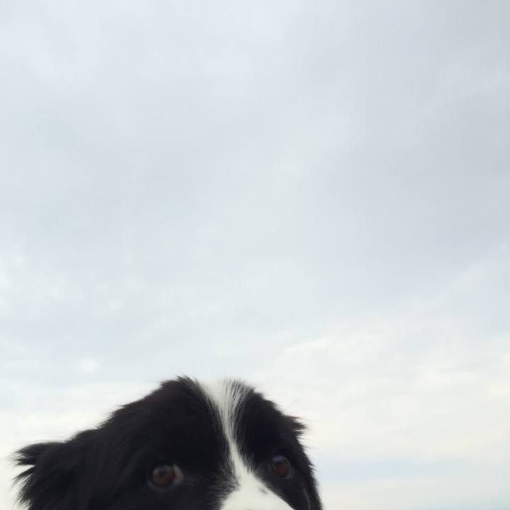 92408470 b71d 49ee 876a ecefca27d113