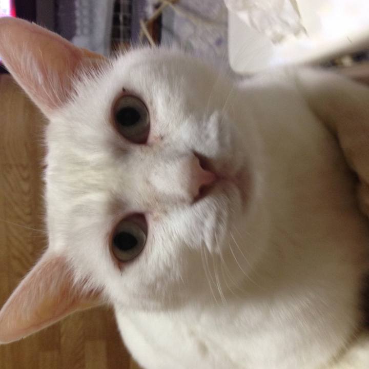 92408fba 8840 4621 ac5a 7407a86a3107