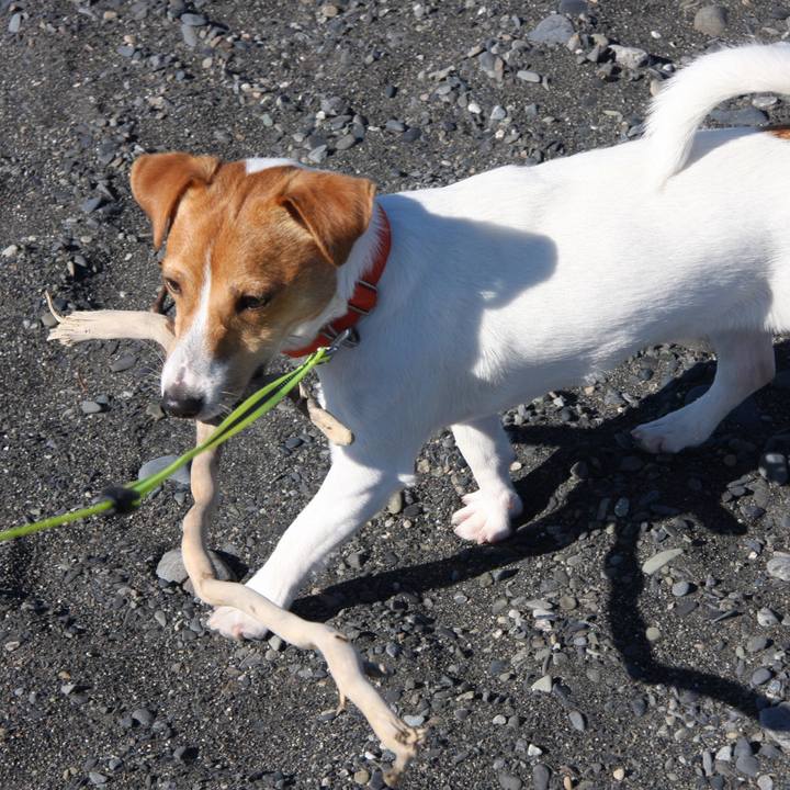 9240ee60 1073 45fc 90d6 4e6b0a892c02