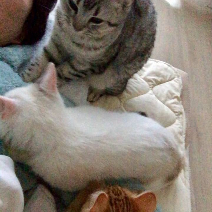 9240f96b 86cc 4d31 89e9 c562d0e0a032