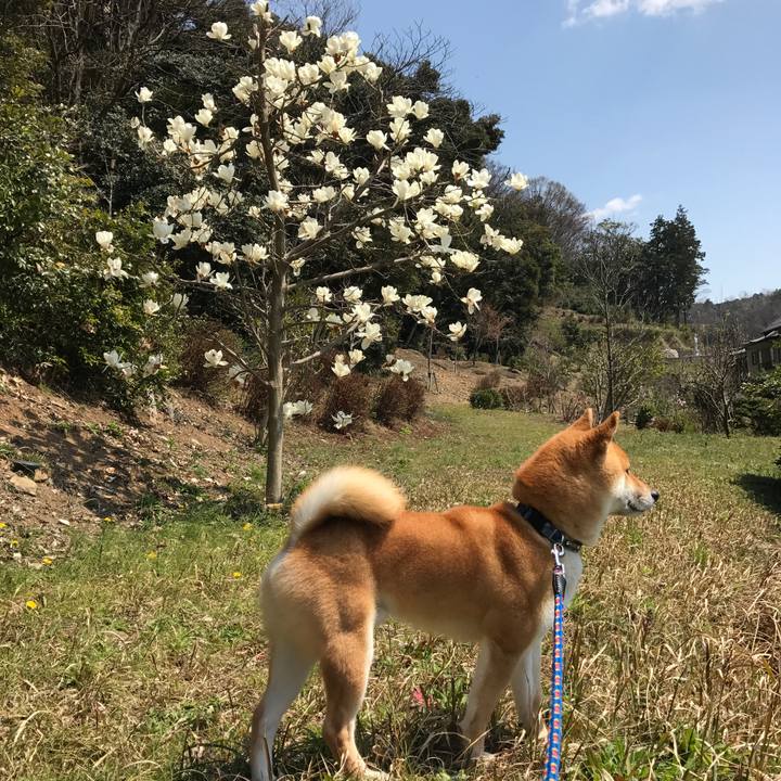 9241953f 7944 4697 90a5 315998f86365