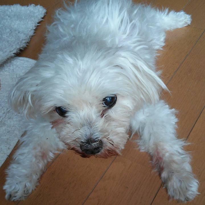 9241f3be 13dd 446f ba21 8c38268cf82f