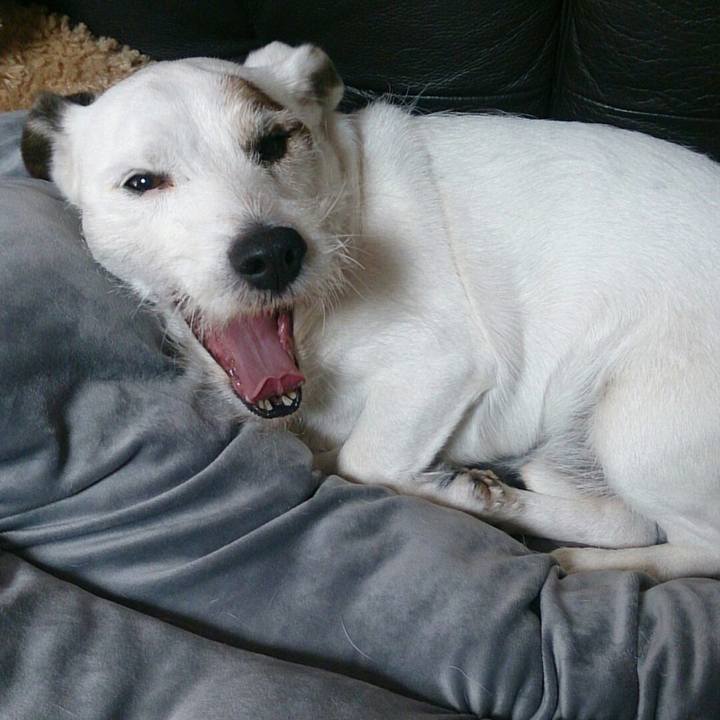 9241f52a 6270 4aa5 a24d 42de9b8959ca