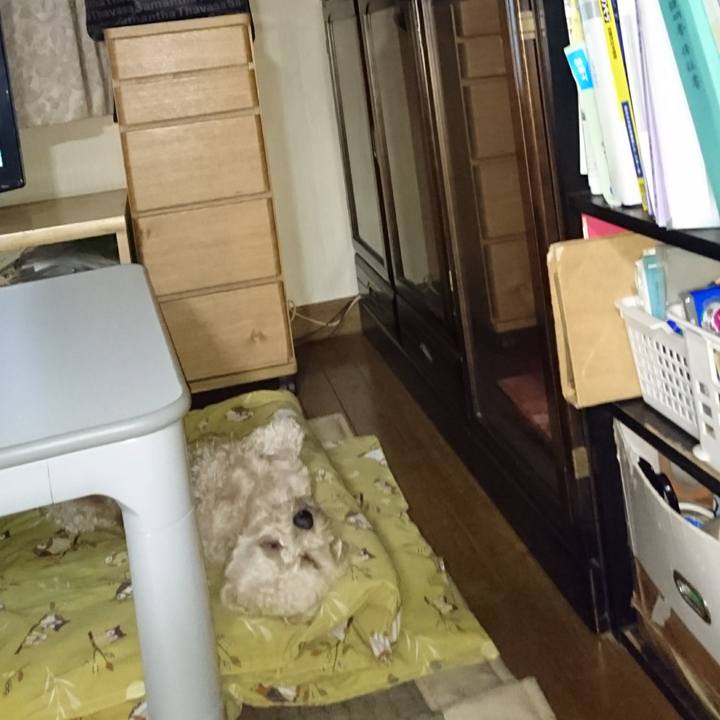 9242503a a7dc 47ed 8f3c b6533da3ddb7