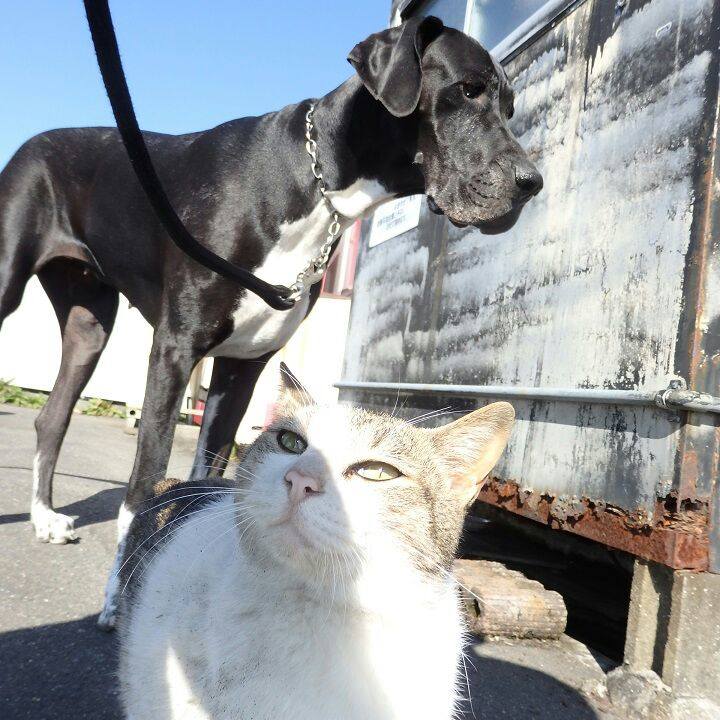 9242d73f 2800 449e 9443 1ed239ff2193