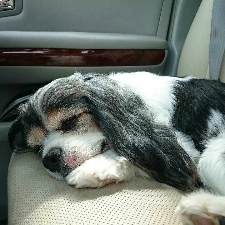 9242eb8a ec98 451f 97c6 867e97c97645