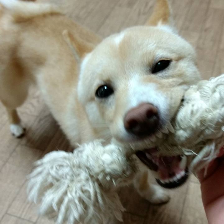 924373c2 5c39 489e 9e26 13ab7e6fe1bb