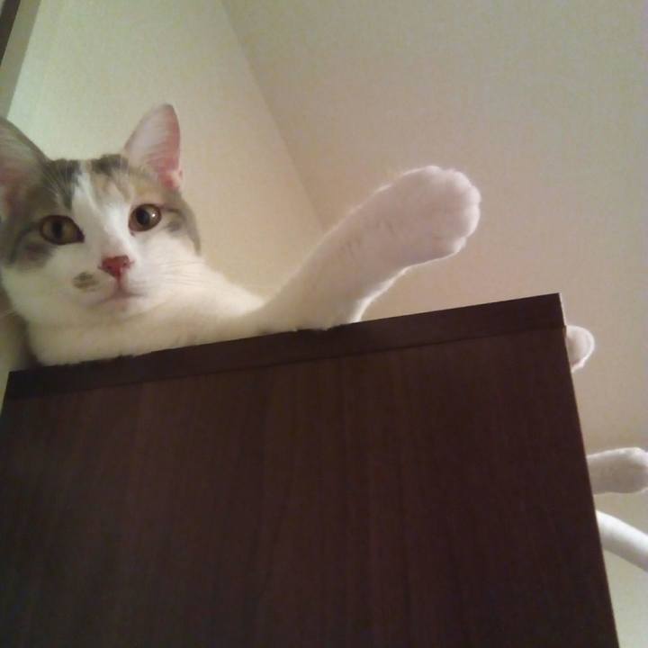 9244fa56 981c 49ac bebb 82544535edb8