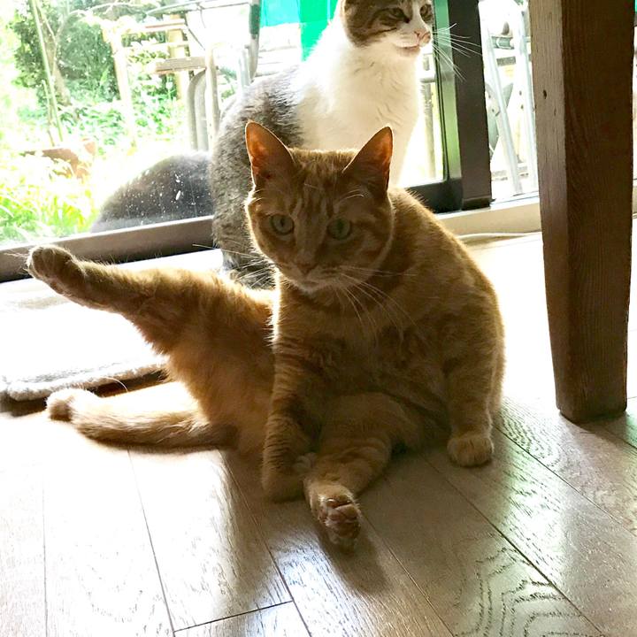 92452684 62ac 4e2e bab2 06f0aac3c40f