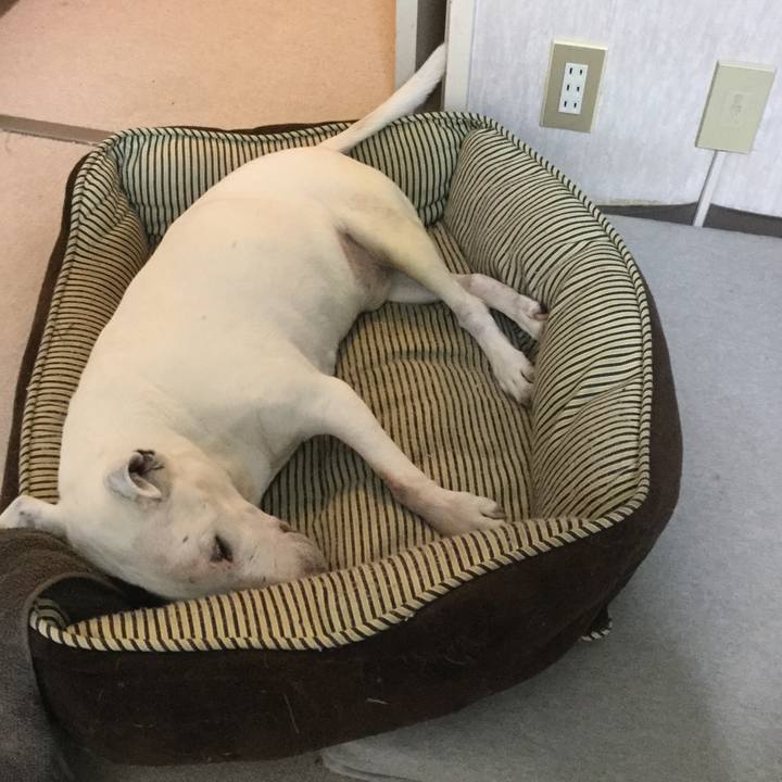 924567ae 73cd 49c3 86b2 05aebaf5d8ac