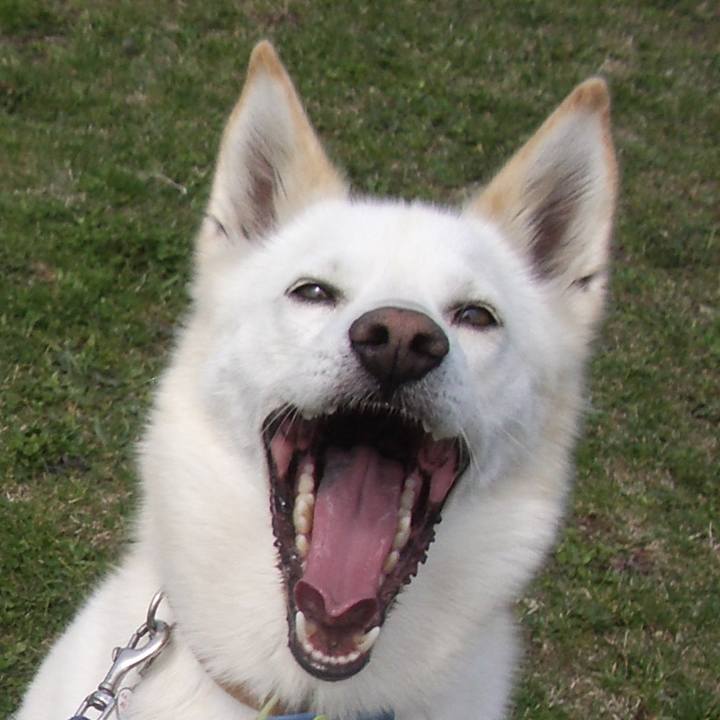 924572a9 1c80 4bd0 8a34 709decee6214