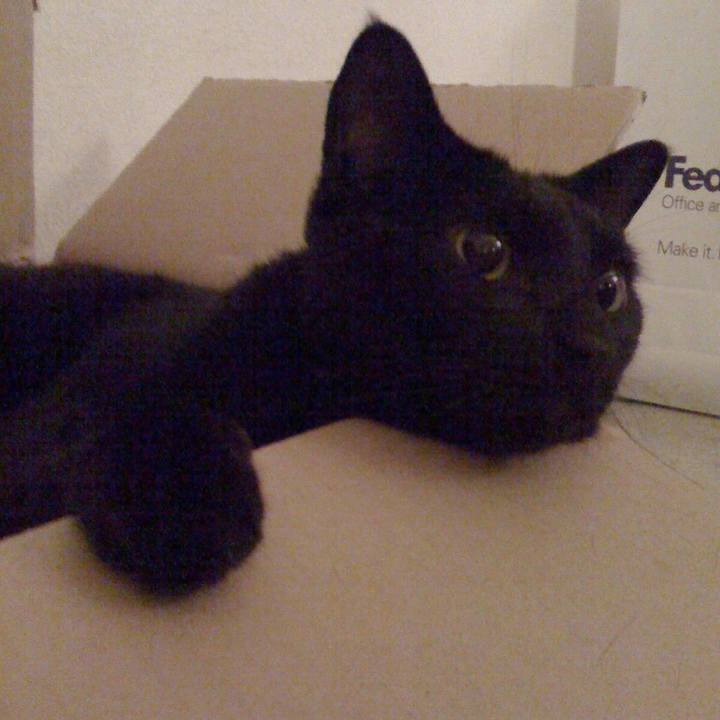 9245b518 d697 41fa 8d82 7c5ee35c81a1