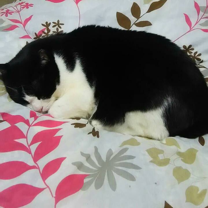 9245fee1 4256 4a53 80c8 3f1fceafa8dd