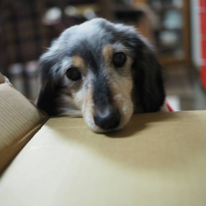 92464e90 a9f5 4e12 999b 647ee07a79a3