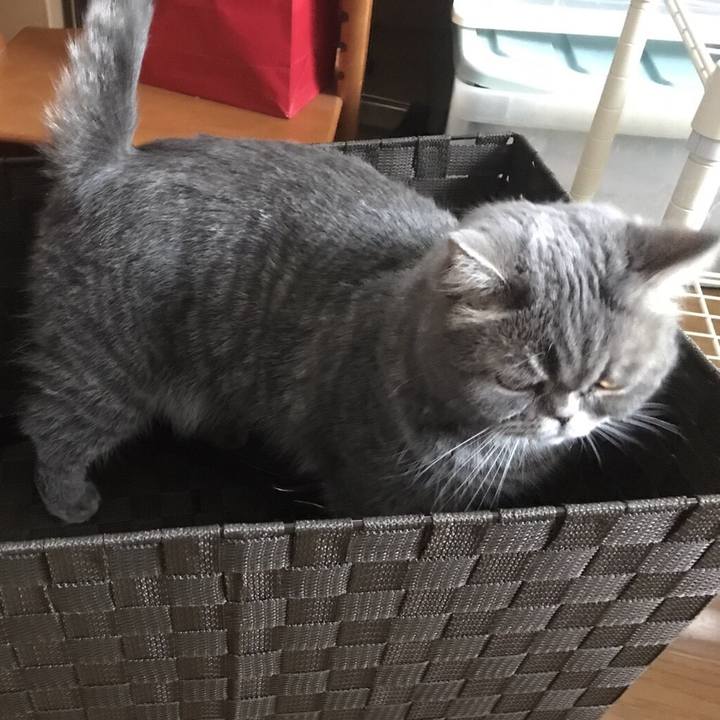 9246df44 ab5f 40b2 9292 806b05360d1f