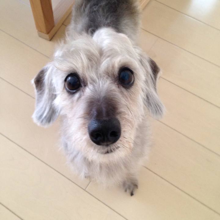 9246ef3d 4bff 4438 a923 7d3d58231ab4