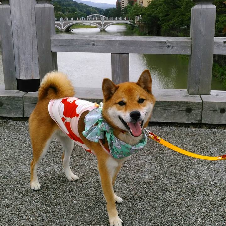 92472336 e949 44f8 8912 6ec80b696e5a