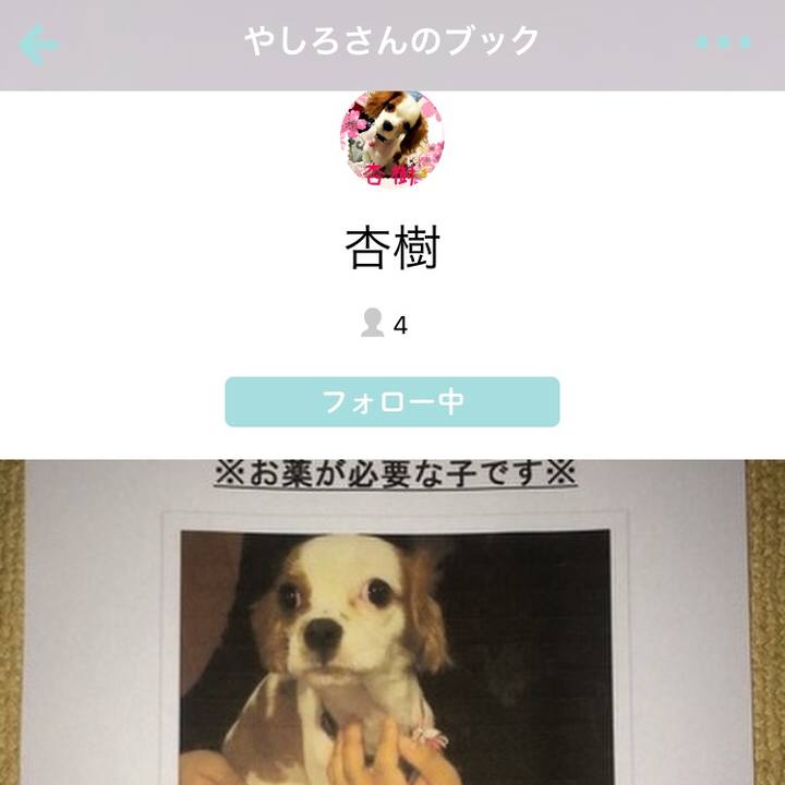 924782ff f37f 4c5c a0e9 113a60c42f1d