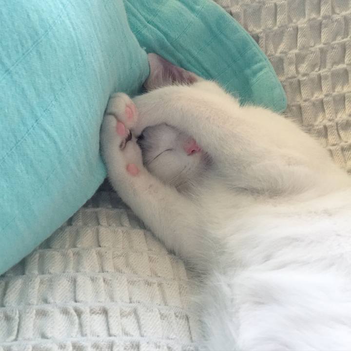 92483a83 3659 444a 8281 a4452a392e1b