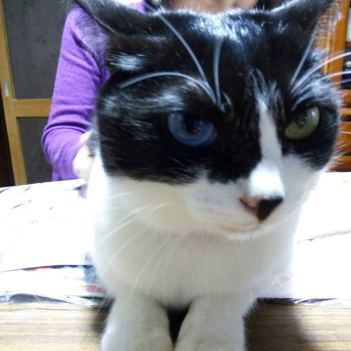 924842ca 63e4 4b92 beef e075ad0e51d5