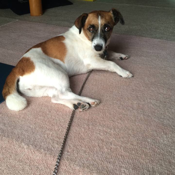 9248fa9f 0821 4b96 a902 6e97387b76d9