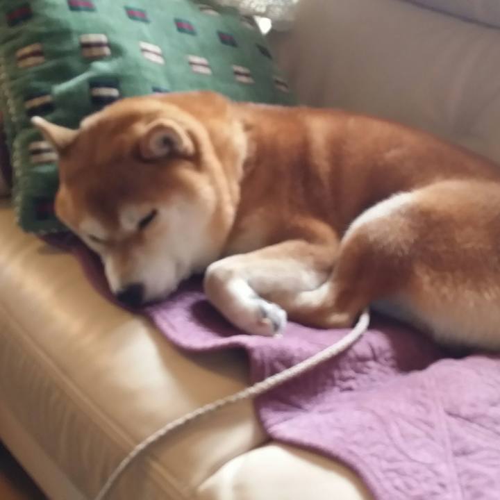 92498303 eeb2 48ed 8a20 7da01636ec87