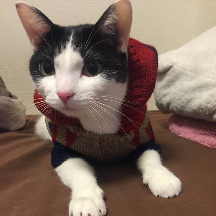 9249a4ac 9135 4b7f 9b14 2a61bf8522d9