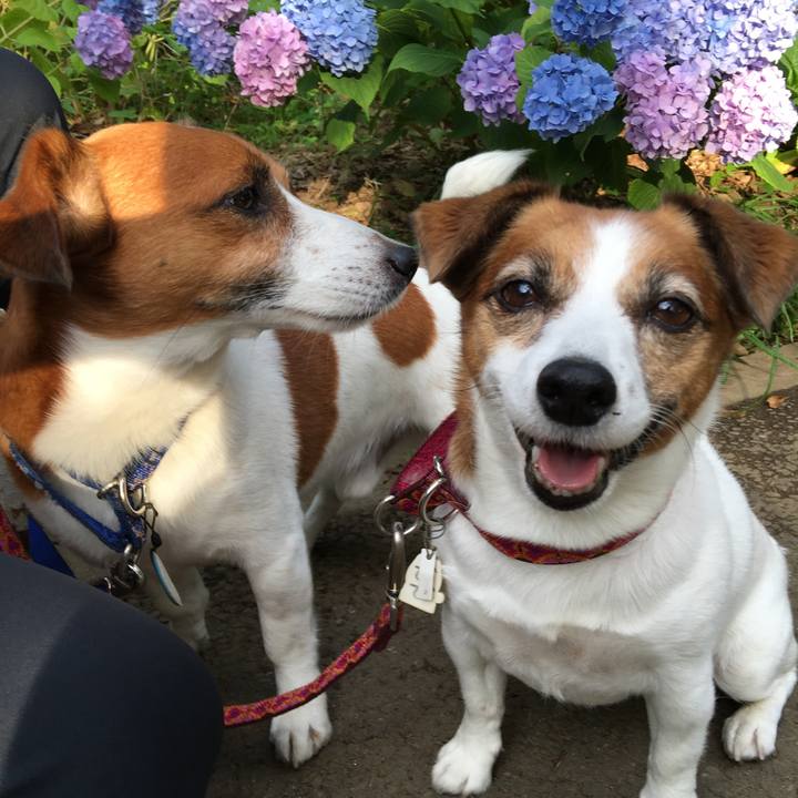 924a2126 01dc 4261 9f74 0b34a34172d9