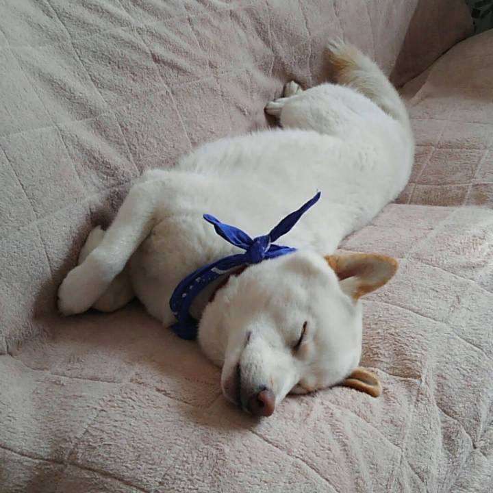 924a8030 45ab 4f7b 807e 7c867871bdf0