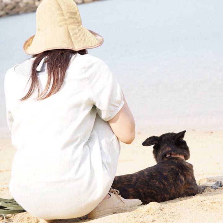 924ade49 0967 47d8 9ad9 1b182b551305