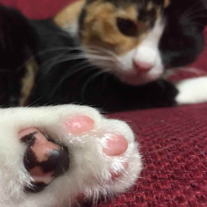 924b2f65 8a00 48ed b33d 10d03a605270