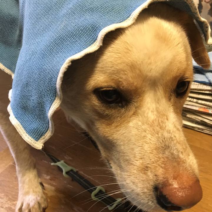 924be09b 9aa6 40b8 9c6e 61d2c687d30c