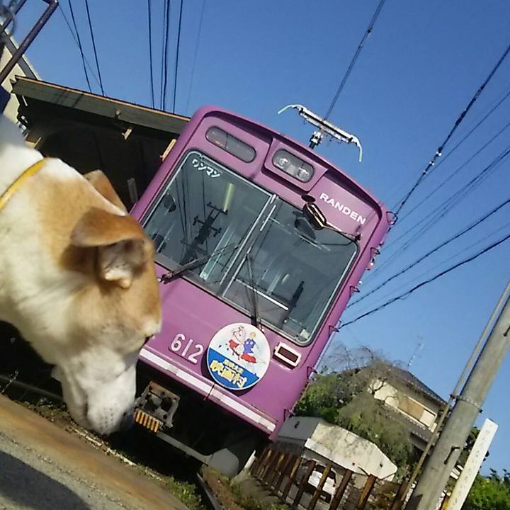 924c3185 3c18 4303 ae16 9f72b0ed295a