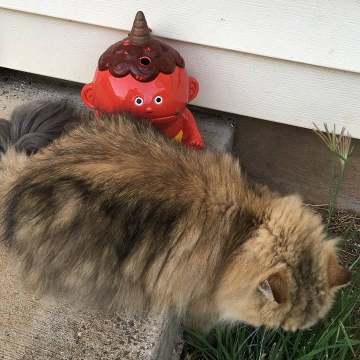 924c5c8c fa1d 40f0 bcb1 a6d0d37ccff7