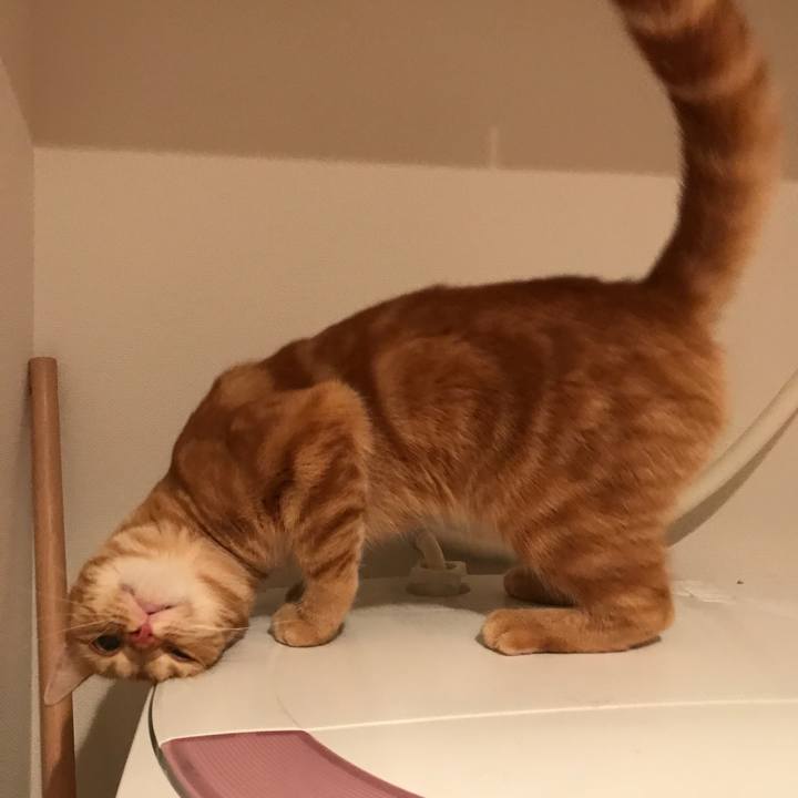 924cae3e cff5 4e77 9cec ba1925f84ecb