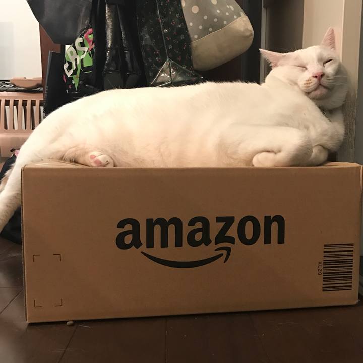 924dde61 5271 4c08 8e30 40a2262b05ac