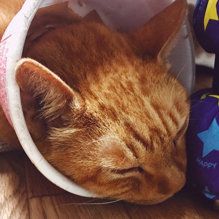 924ea6e9 270d 4e4f 9937 d2e2b305831d