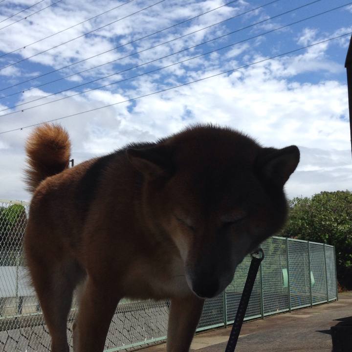 924effd4 7dfe 424f 8126 86c208201869