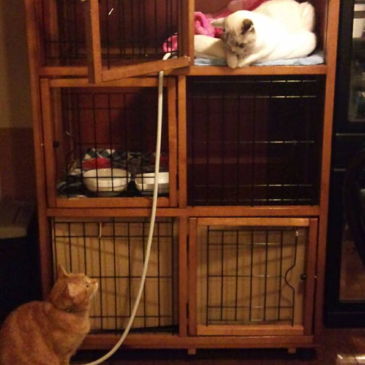 924fb51f 4610 4719 86e9 13b75fd2c070