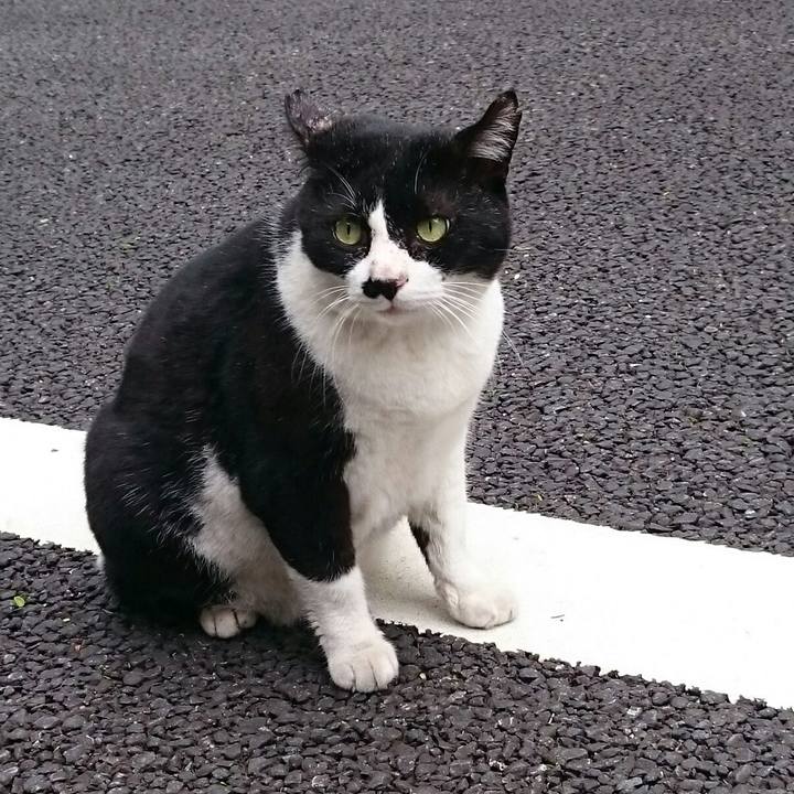 92511635 7a93 40f0 b633 0557a4cba21e