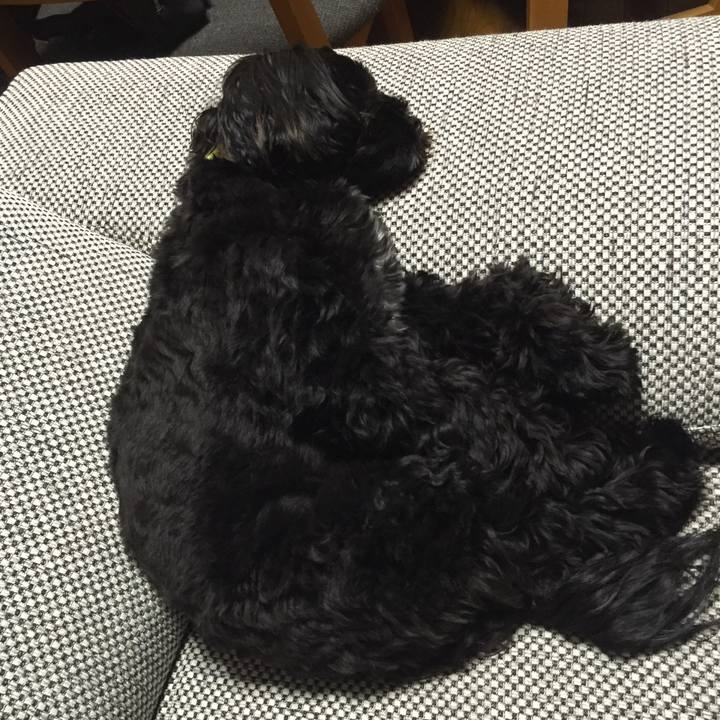 9251d023 3308 4075 bd76 e7e247dc48ea